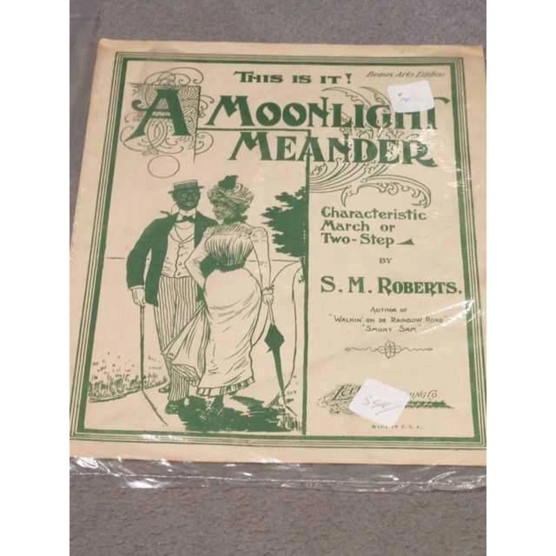 A Moonlight Meander
