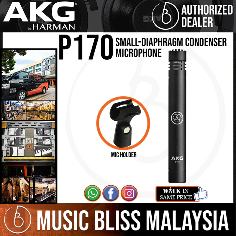 AKG P170 Small-diaphragm Condenser Microphone