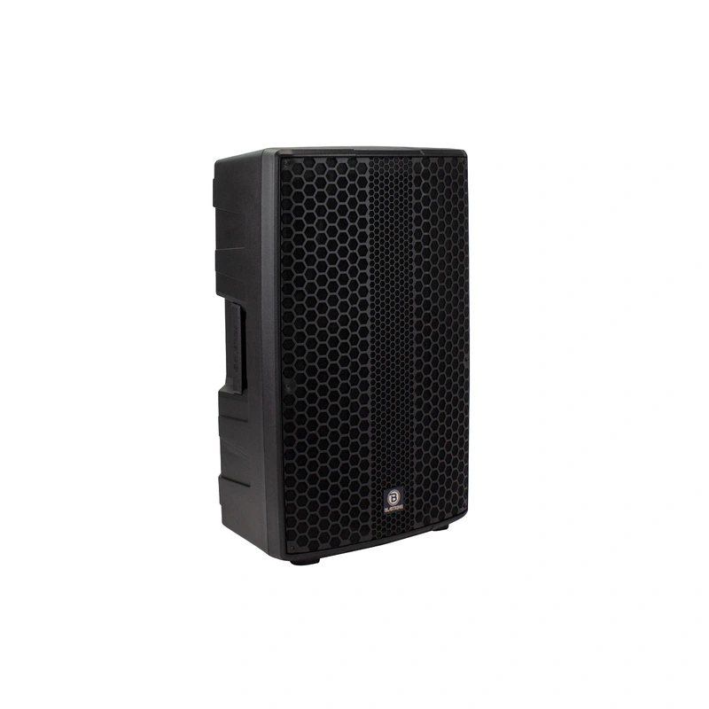 Blastking NOVO-P10 10" Passive Speaker Box
