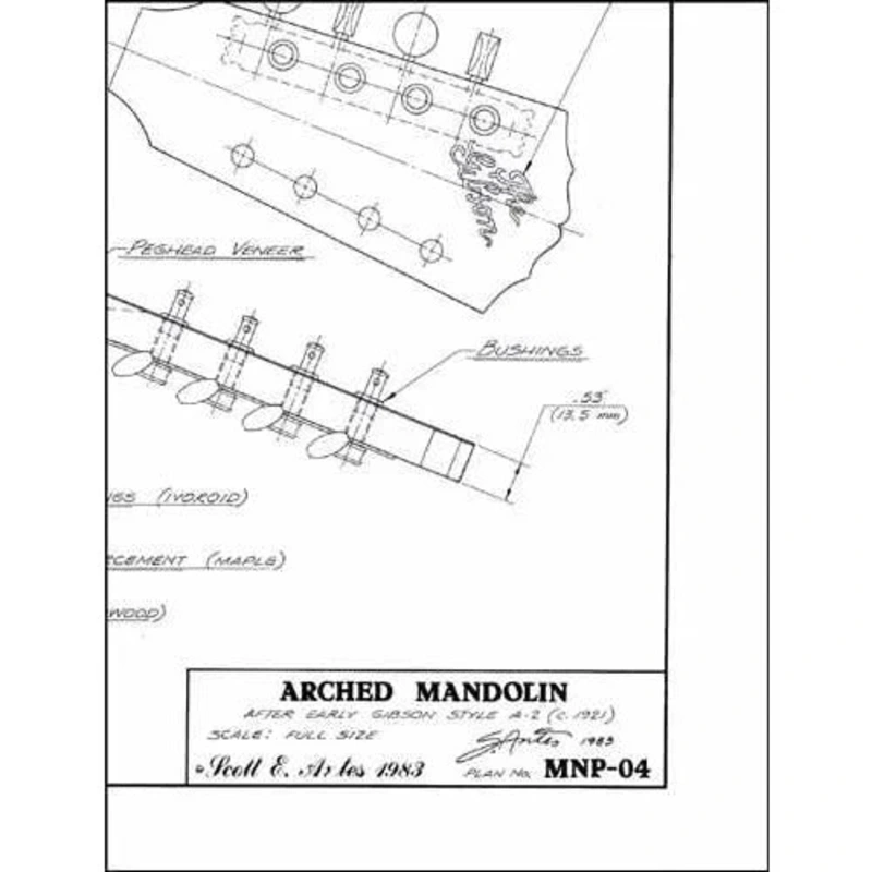 Blueprint - Archtop Mandolin