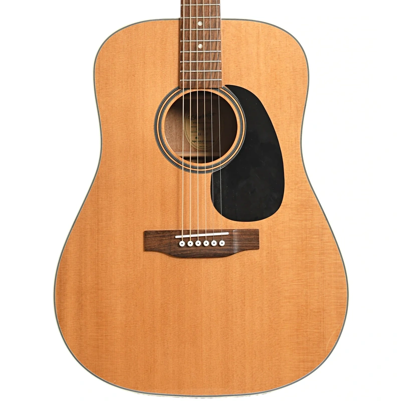 Blueridge BR-60 Acoustic Guitar (2008)