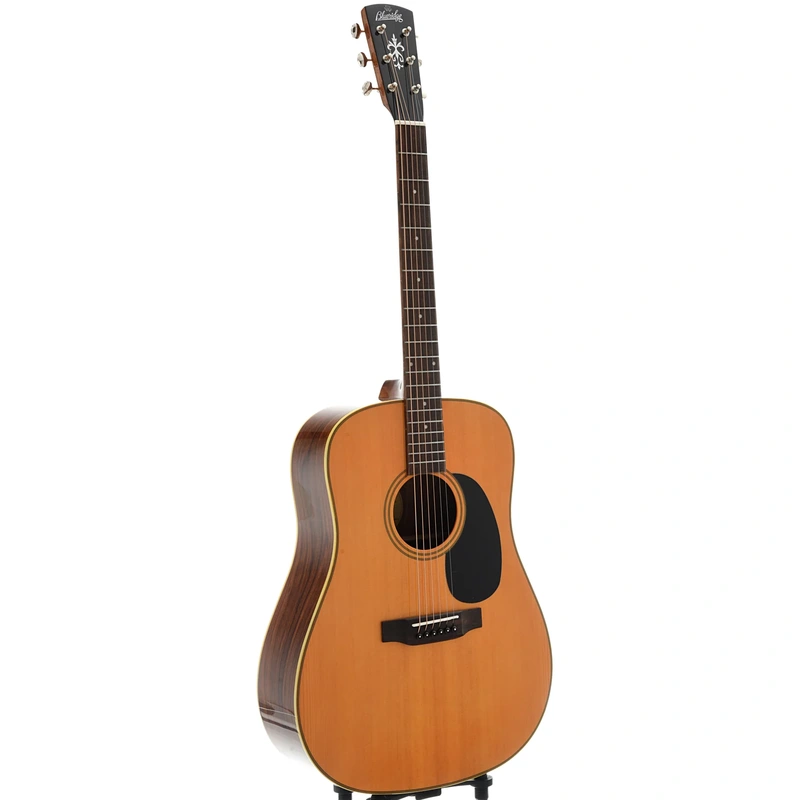 Blueridge Contemporary Series BR-60 Limited Edition Dreadnought Guitar & Gigbag
