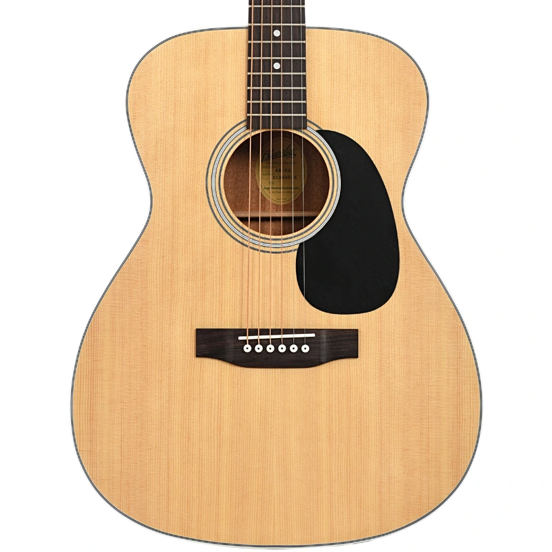 Blueridge Contemporary Series BR-63 000 Acoustic Guitar & Gigbag