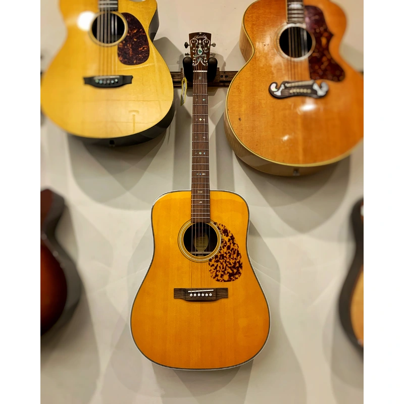 Blueridge Historic Series BR-160 Dreadnought Guitar & Gigbag
