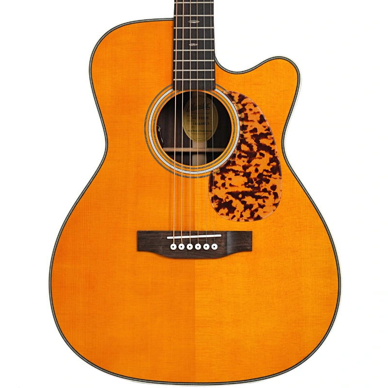 Blueridge Historic Series BR-163CE Acoustic-Electric Guitar & Gigibag