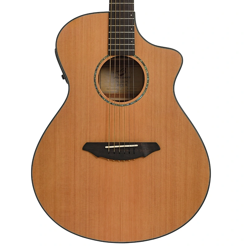 Breedlove Atlas Solo C350/Me Acoustic-Electric Guitar (2011)