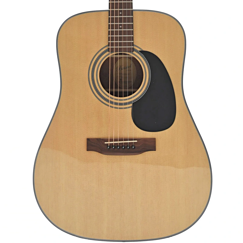 Bristol BD-16 Dreadnought Guitar & Gigbag