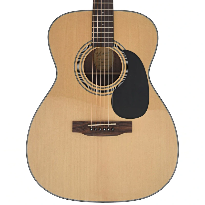 Bristol BM-16 000 Guitar & Gigbag