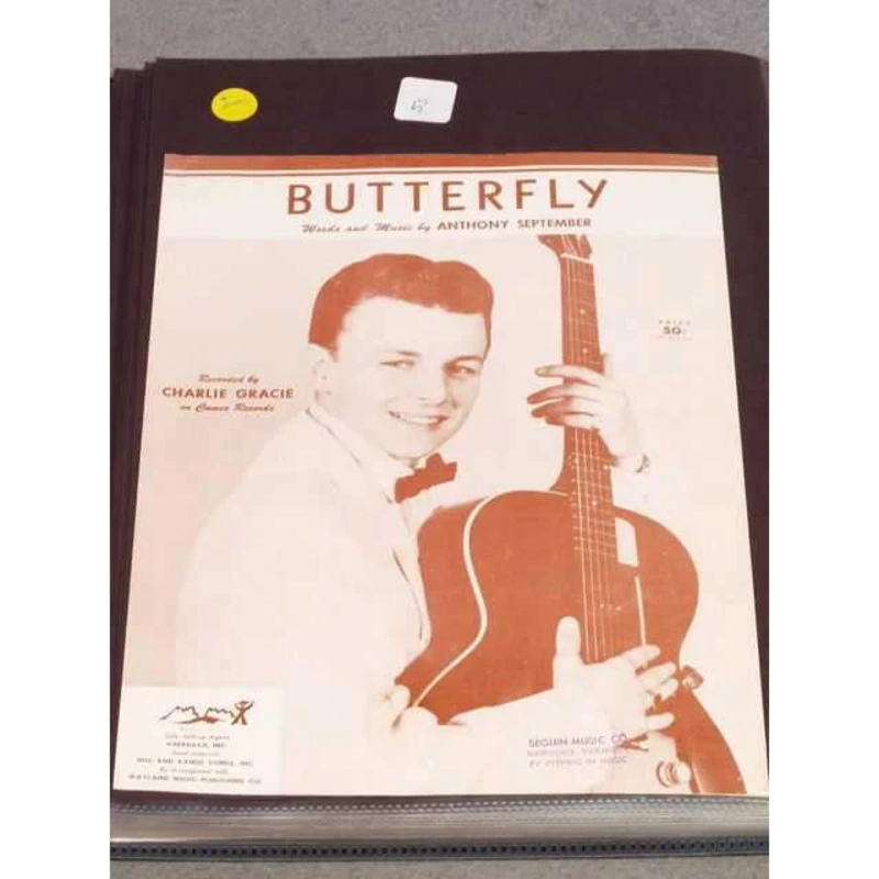 Butterfly
