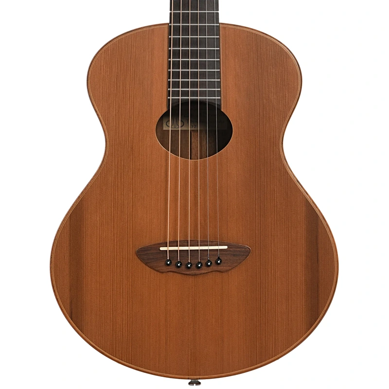 Daniel Brauchli Custom Tasmania 3/4 Size Acoustic Guitar (2015)