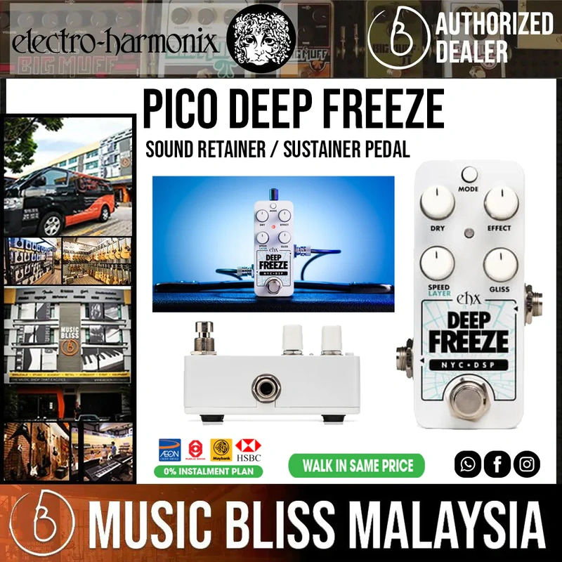 Electro Harmonix Pico Deep Freeze Sound Retainer Sustain Pedal