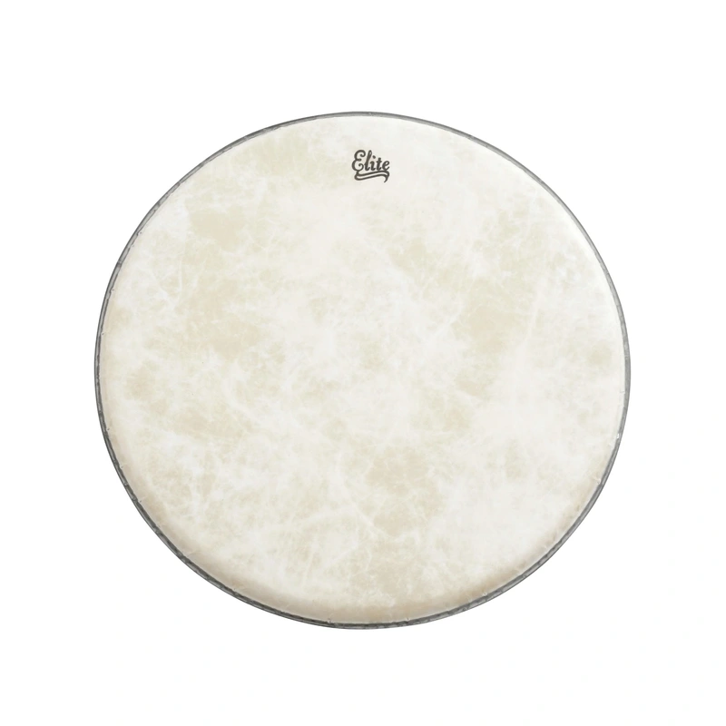 Elite Fiberskyn Banjo Head, 11", High