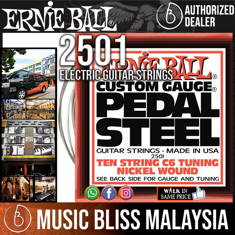 Ernie Ball 2501 Pedal Steel 10-string C6 Tuning Nickel Wound Guitar Strings (12-66)