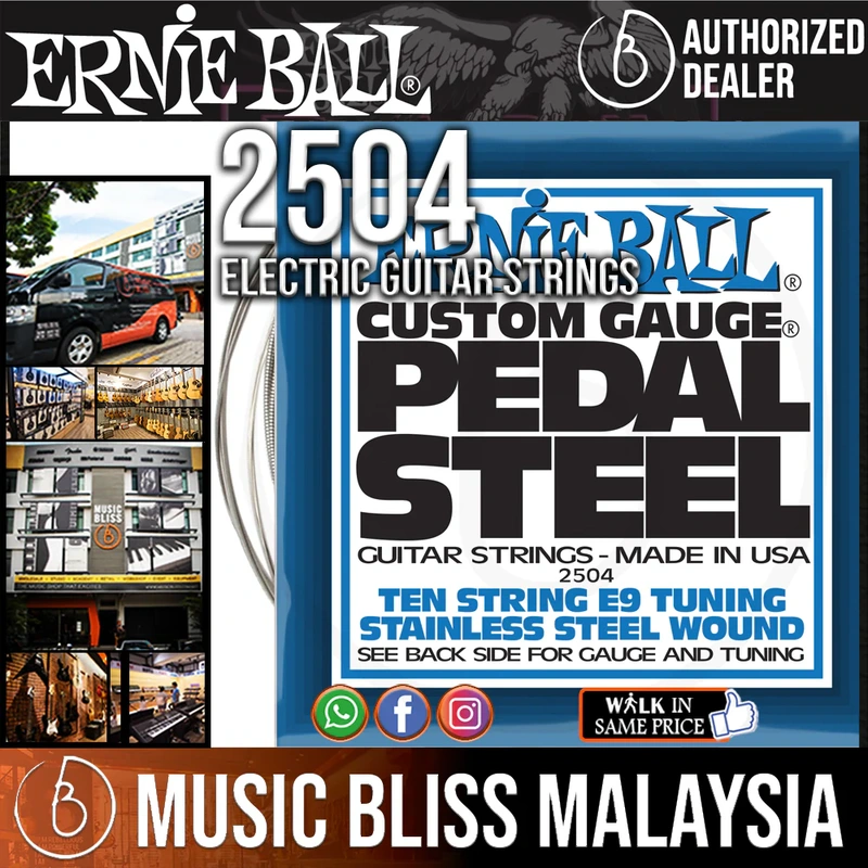 Ernie Ball 2504 Pedal Steel E9 Tuning Guitar Strings (13-38)