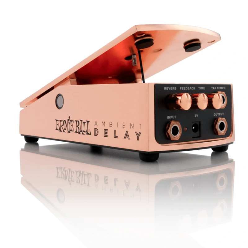 Ernie Ball Expression Series Ambient Delay