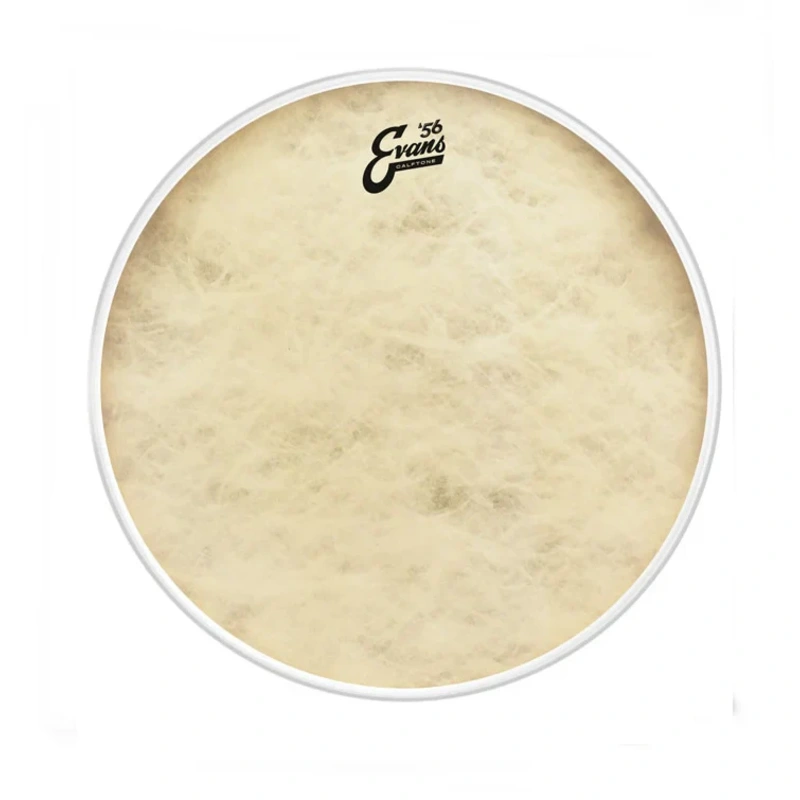 Evans TT16CT 16" '56 Calftone Tom Drumhead