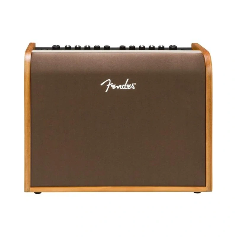 Fender Acoustic 100 Acoustic Combo Amplifier
