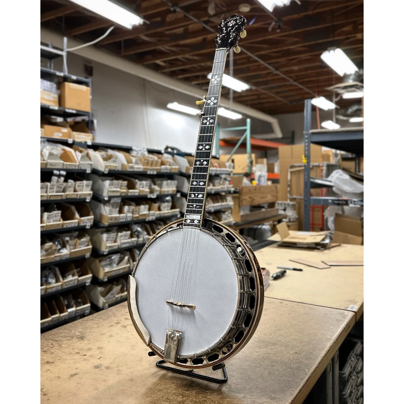 Gold Star GF-100HF Resonator Banjo (2006)