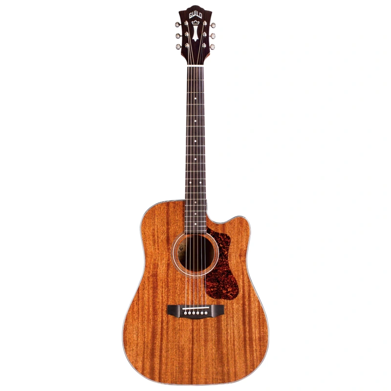 Guild D-120CE Acoustic-Electric Guitar, Fishman Electronics