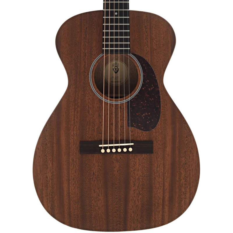 Guild USA M-20 Acoustic Guitar and Case