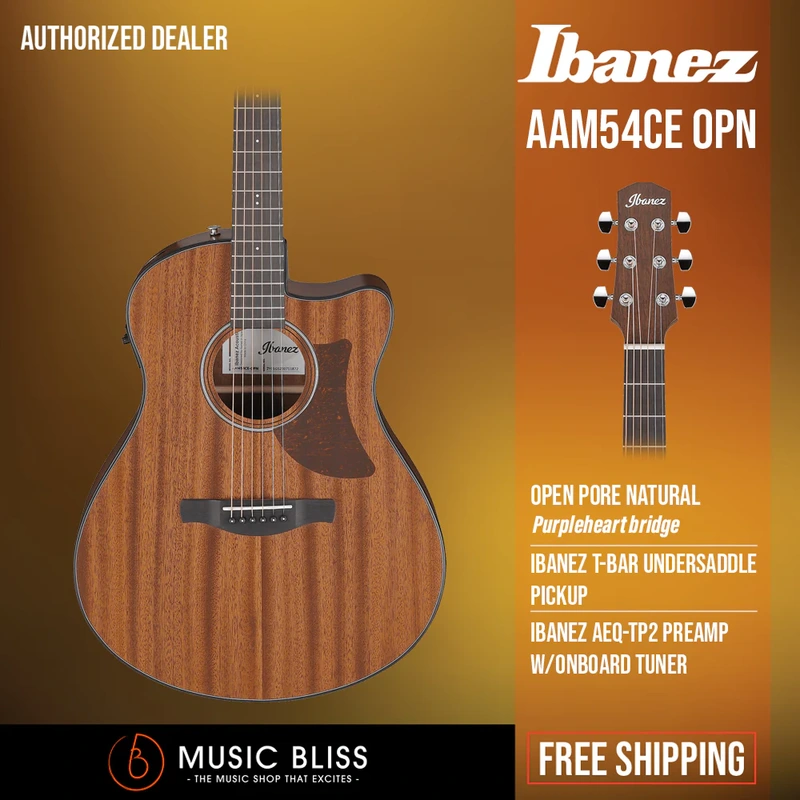 Ibanez AAM54CE Advanced Acoustic Auditorium Acoustic-electric Guitar - Natural
