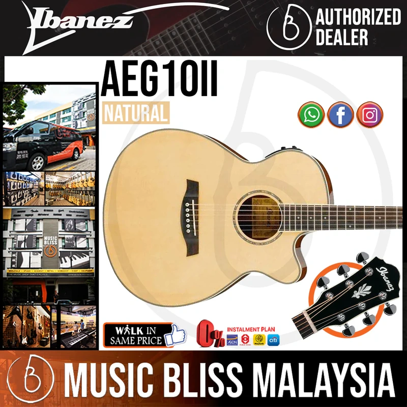 Ibanez AEG10II Acoustic-Electric Guitar - Natural