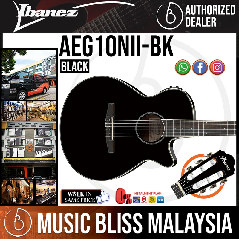 Ibanez AEG10NII Nylon Acoustic-Electric Guitar - Black
