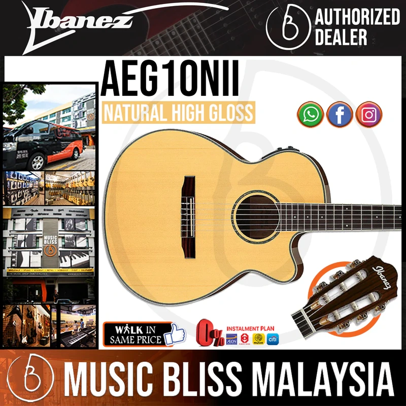 Ibanez AEG10NII Nylon Acoustic-Electric Guitar - Natural High Gloss