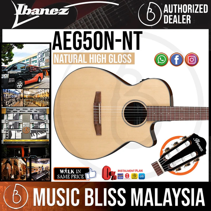 Ibanez AEG50N Acoustic-Electric Guitar - Natural High Gloss