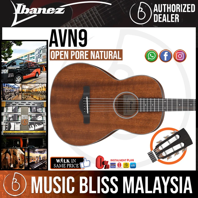 Ibanez AVN9 Artwood Vintage Thermo Aged Acoustic Guitar - Open Pore Natural