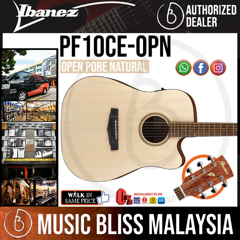 Ibanez PF10CE Acoustic Guitar - Open Pore Natural