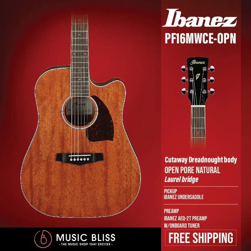 Ibanez PF16MWCE Acoustic-Electric Guitar - Open Pore Natural