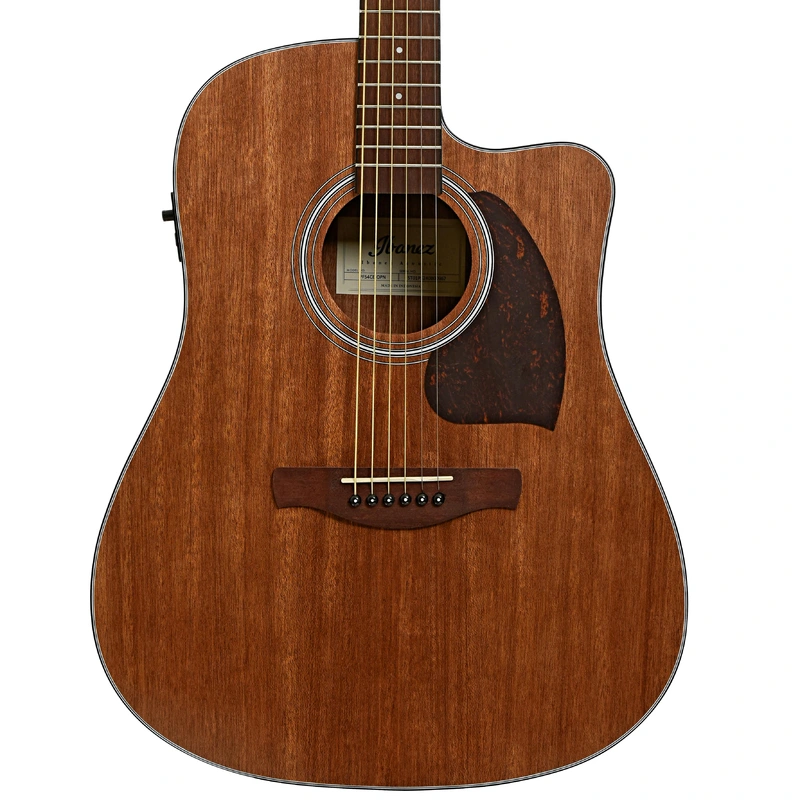 Ibanez PF54CE Acoustic-Electric Dreadnought Guitar
