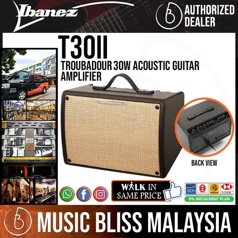 Ibanez Troubadour T30II 30-Watt Acoustic Combo Amplifier
