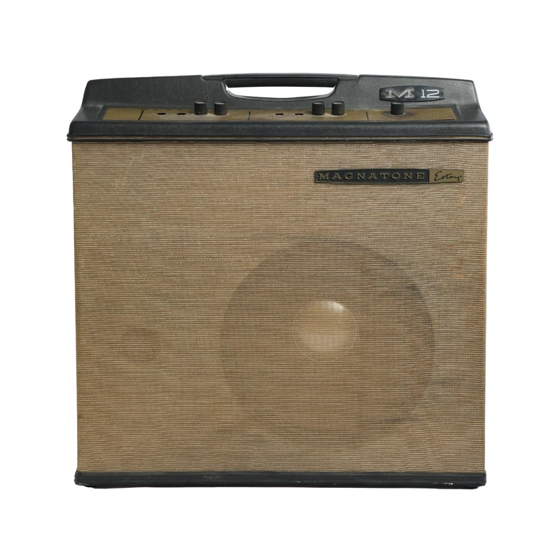 Magnatone M12 Bass Combo