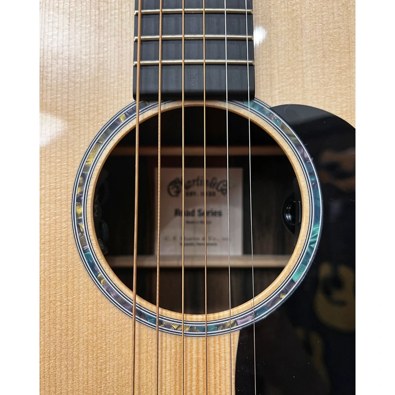 Martin D-13E Ziricote Guitar with Pickup & Case