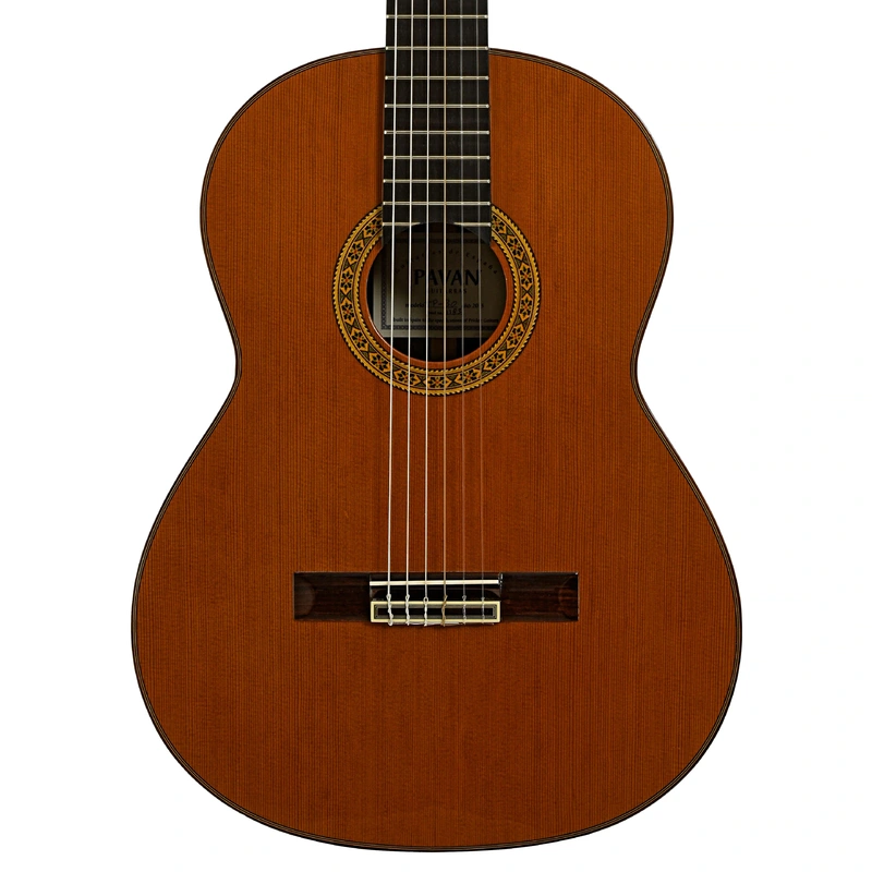 Pavan TP-30 Classical Guitar (2013)