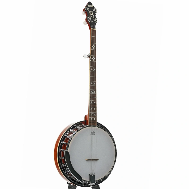 Recording King RK-R20 Songster Resonator Banjo (2018)