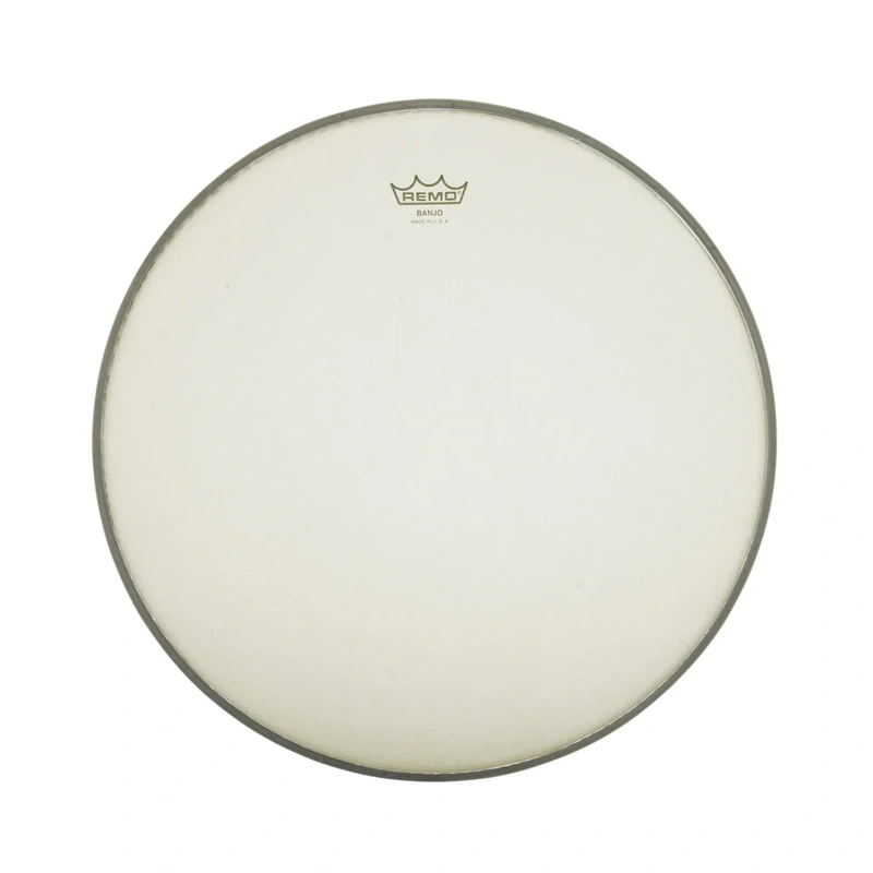 Remo Renaissance Banjo Head, 10 7/8 Inch Diameter, Medium Crown (7/16 Inch)