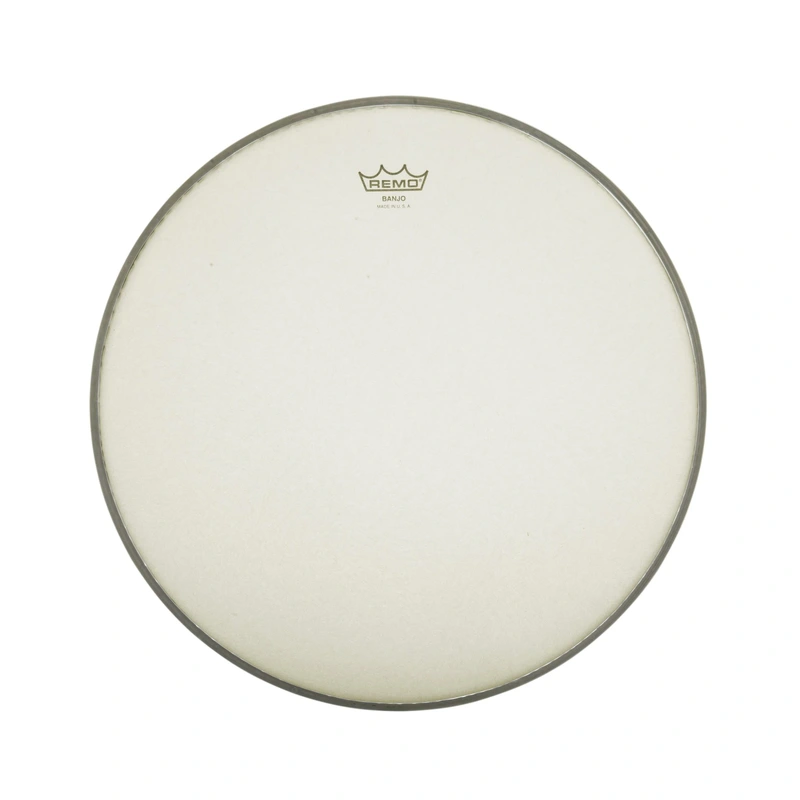 Remo Renaissance Banjo Head, 11 1/4 Inch Diameter, High Crown (1/2 Inch)