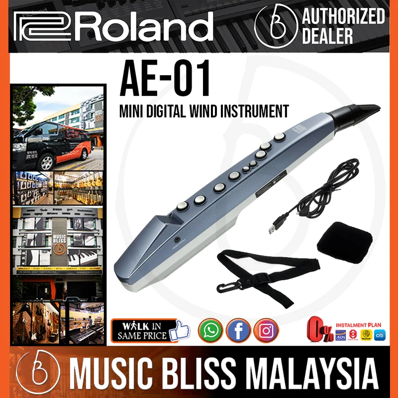 Roland Aerophone AE-01 Mini Digital Wind Instrument