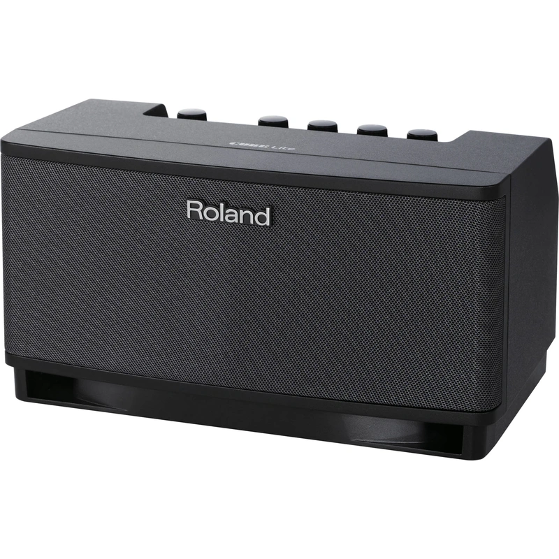 Roland CUBE-LT Lite Tabletop Monitor Amplifier, Black