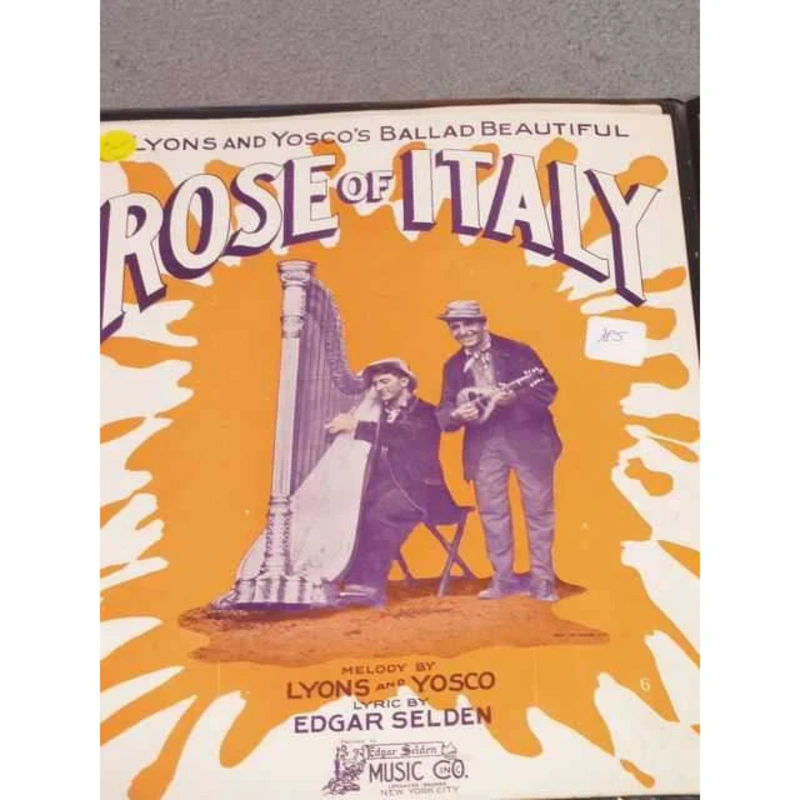 Rose of Italy