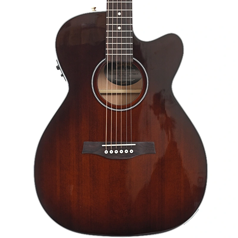 Seagull Performer Cutaway Concert Hall Burnt Umber Guitar & Gigbag