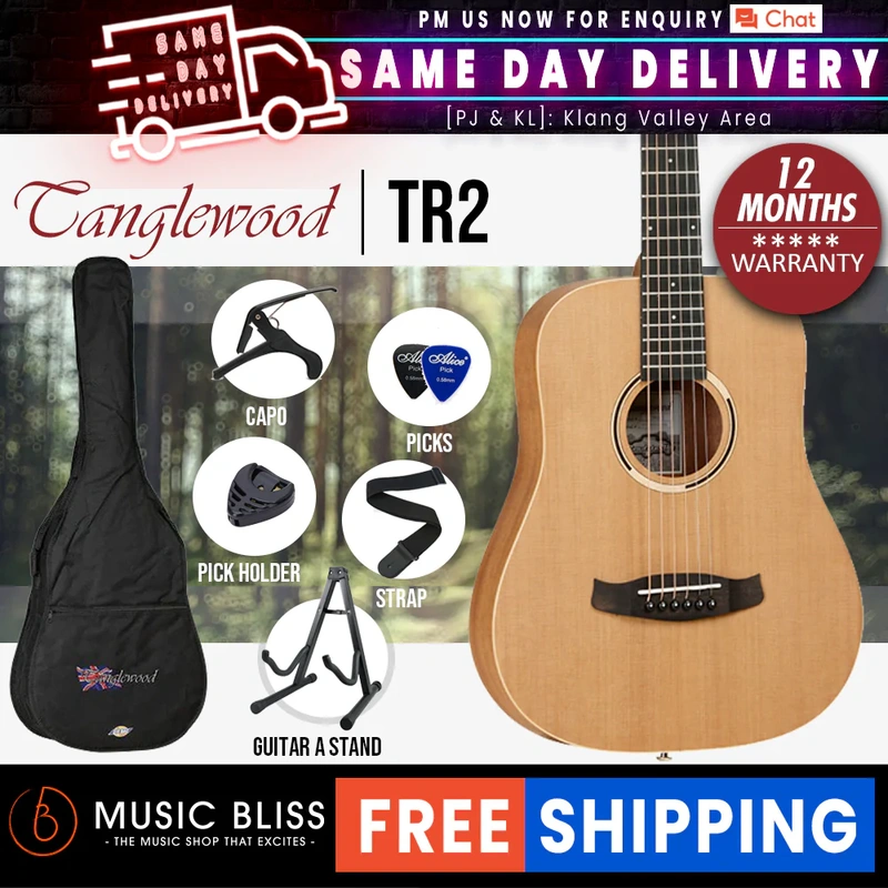 Tanglewood TR2 Roadster II Travel Size Best Beginner Acoustic Guitar for Starters
