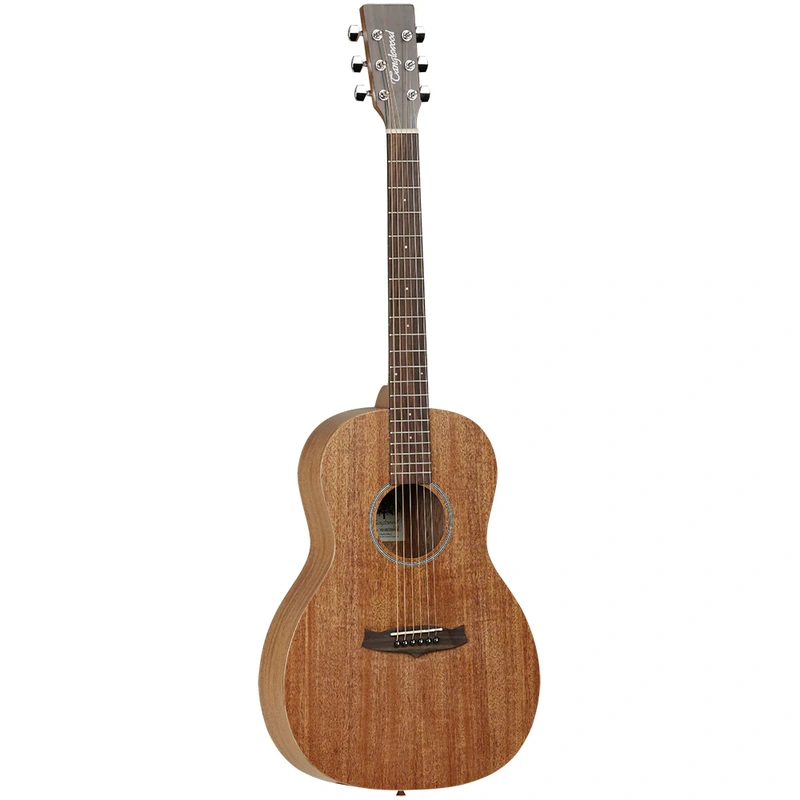 Tanglewood Winterleaf Series TW3