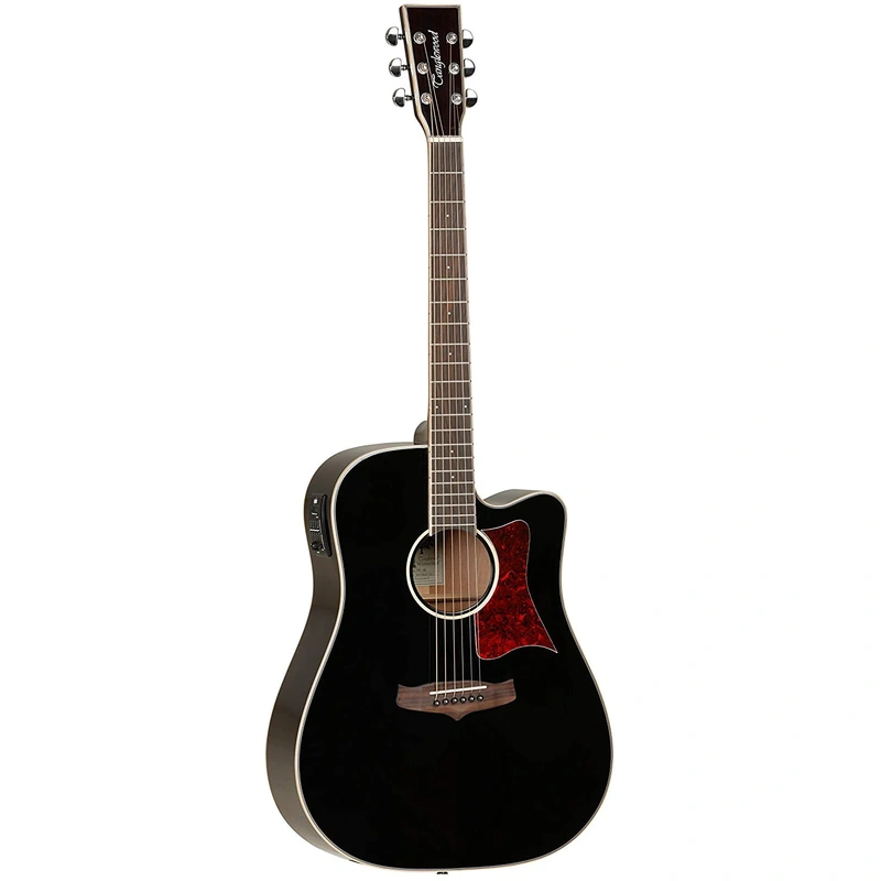 TANGLEWOOD WINTERLEAF SERIES TW5DCEBK