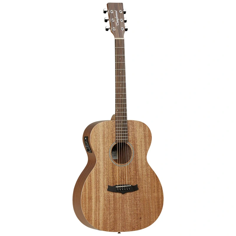 Tanglewood Winterleaf TW2ASE Series
