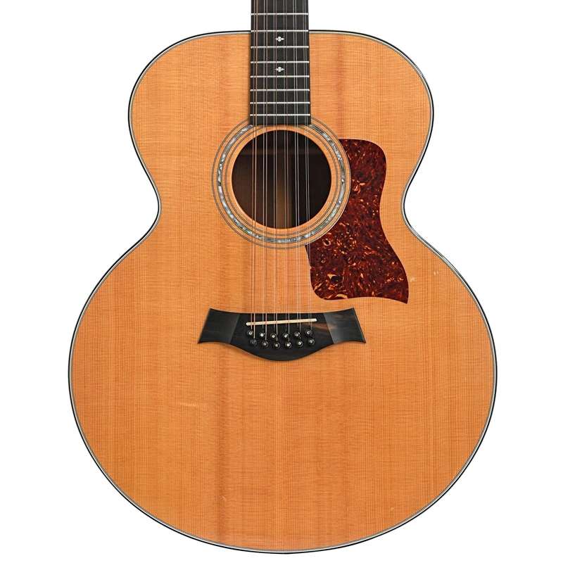 Taylor 555 12-String Acoustic Guitar (1993)