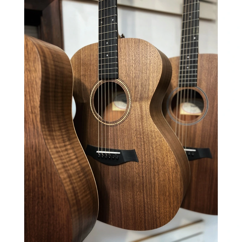 Taylor Academy 22e Acoustic Guitar & Gigbag